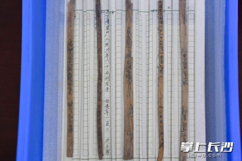 记载长沙长寿老人的吴简。