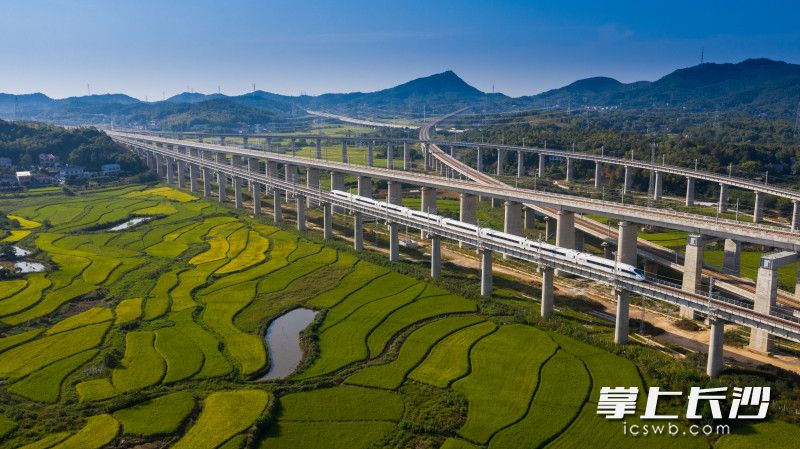 9月6日，渝厦高铁益长段经过3年多建设正式开通运营，湖南实现14个市州全部通高铁，长沙至益阳乘动车只需40分钟。长沙晚报全媒体记者 黄启晴 摄