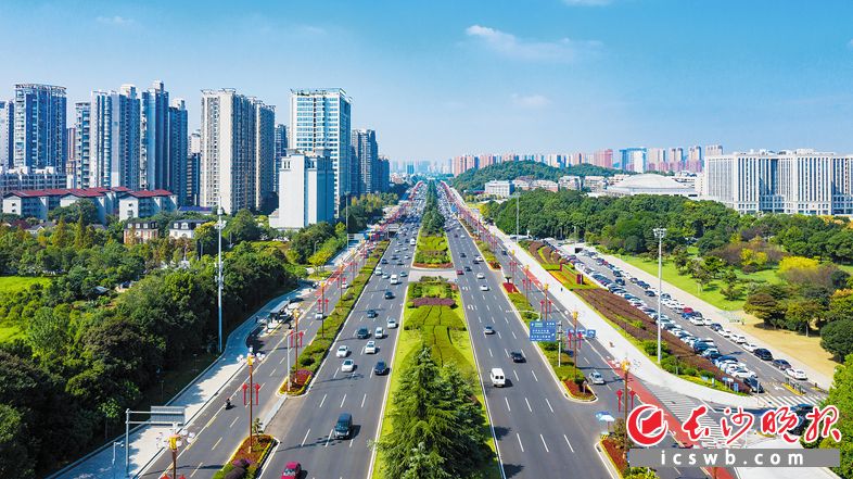近年长沙城管部门牵头多项民生项目，全要素提升道路U型空间品质，城区80多条主次干道、20多个出入城口焕然一新。图为岳麓大道。 长沙晚报全媒体记者 邹麟 摄