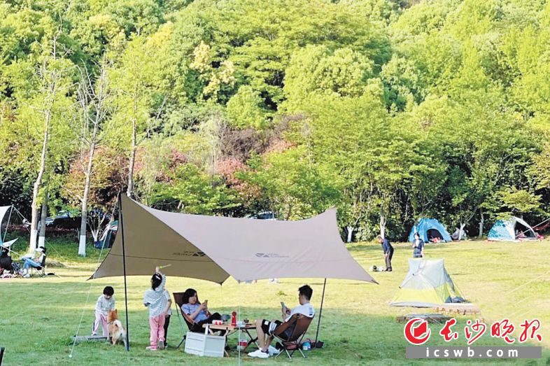 在尖山湖公园，露营的市民悠然享受户外生活。长沙晚报全媒体记者 刘攀 摄