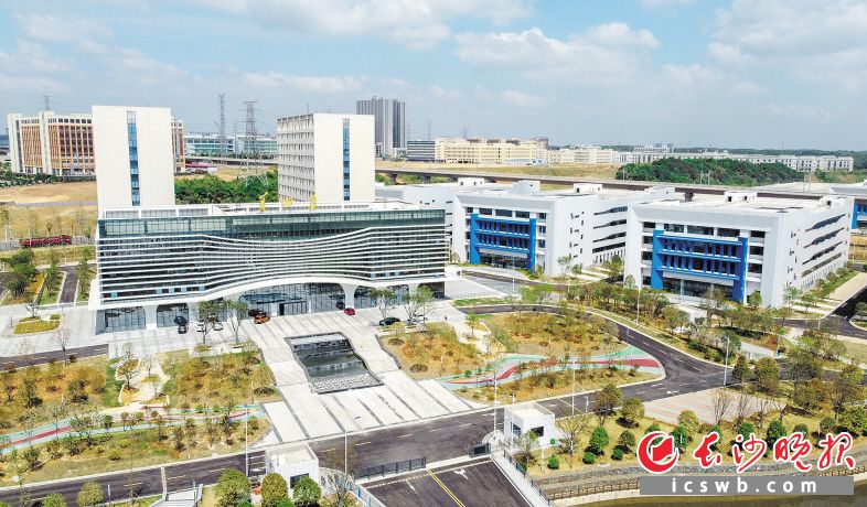 智投公司开发建设的美妆谷今年已正式投入使用。均为长沙晚报全媒体记者 易亿 摄