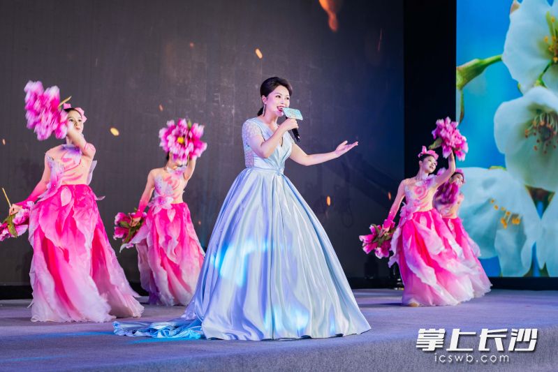 开福区人才代表登台演出展示风采。