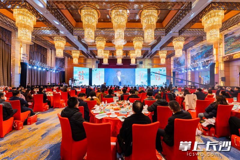 开福区各界人才欢聚一堂。