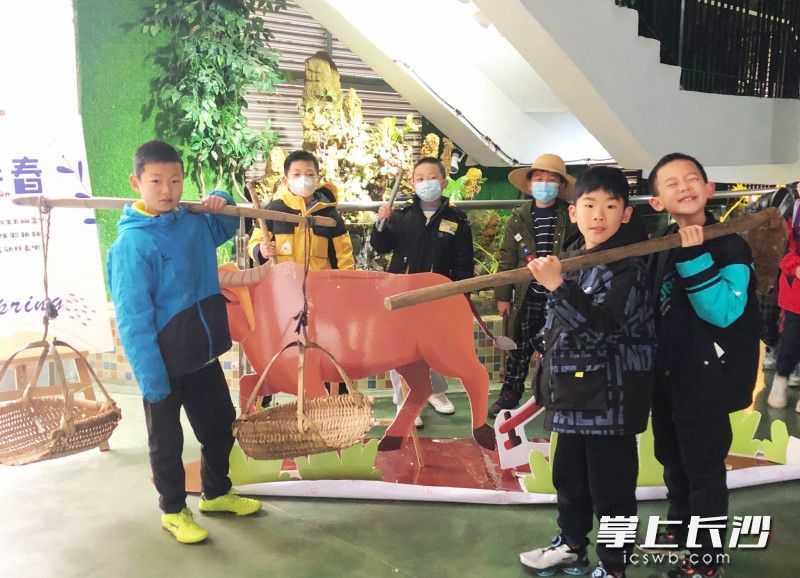 孩子们在活动中体验劳动教育，在劳动中领悟农耕文化。