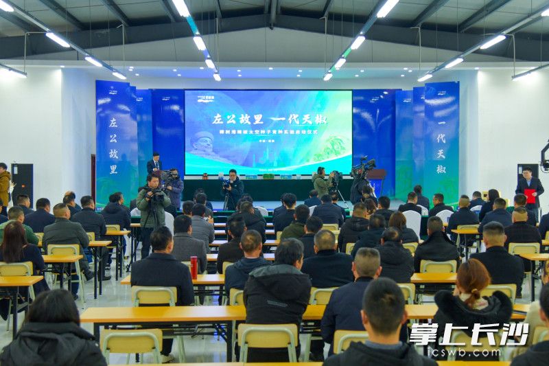 活动现场。