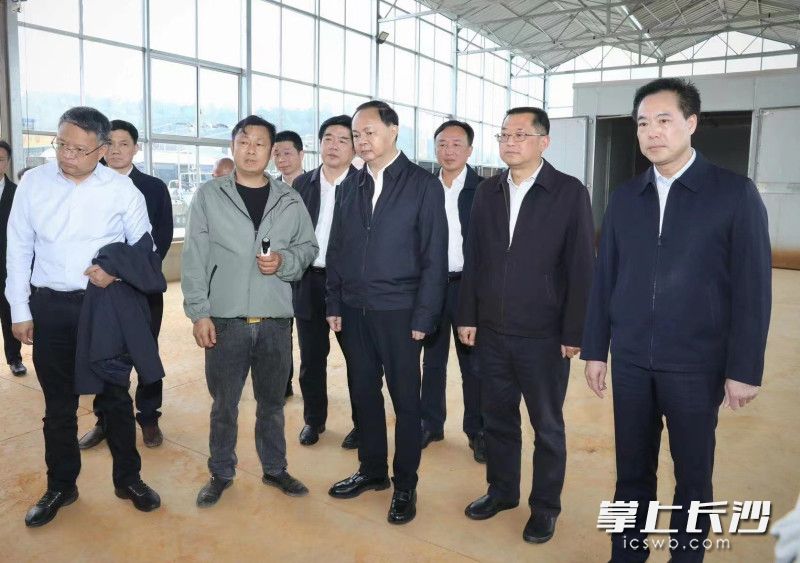 郑建新在宁乡市回龙铺镇工厂化育秧中心，调研春耕备耕及集中育秧工作。刘书勤  摄
