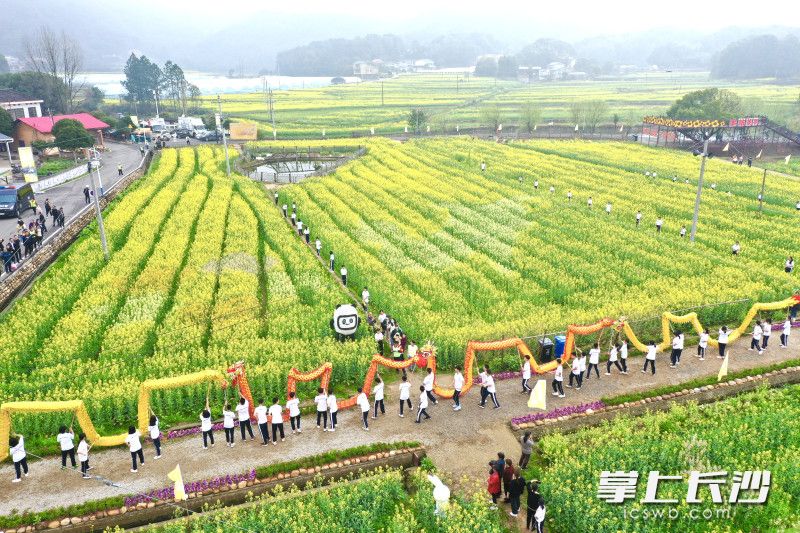 3月9日上午,“油菜花儿开 三湘等您来”2023湖南油菜花节、长沙市首届花田音乐节暨长沙市望城区“芬芳在望 花香满城”花海文化艺术节在长沙市望城区茶亭镇九峰山村心正宫广场盛大开幕。 均为长沙晚报全媒体记者 邹麟 摄 3月9日上午,“油菜花儿开 三湘等您来”2023湖南油菜花节、长沙市首届花田音乐节暨长沙市望城区“芬芳在望 花香满城”花海文化艺术节在长沙市望城区茶亭镇九峰山村心正宫广场盛大开幕。 均为长沙晚报全媒体记者 邹麟 摄