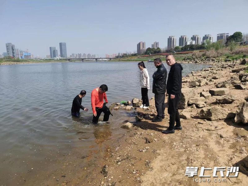 在年轻男子（水中黑色衣服者）帮助下，落水者（红色衣服者）成功被救上岸。受访者供图