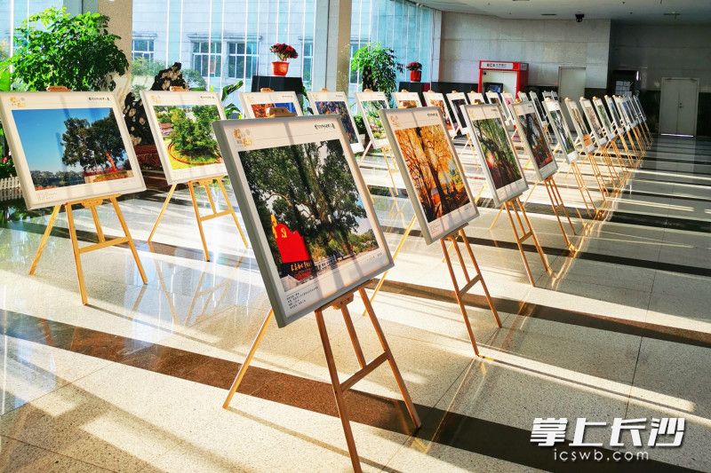 影展现场。