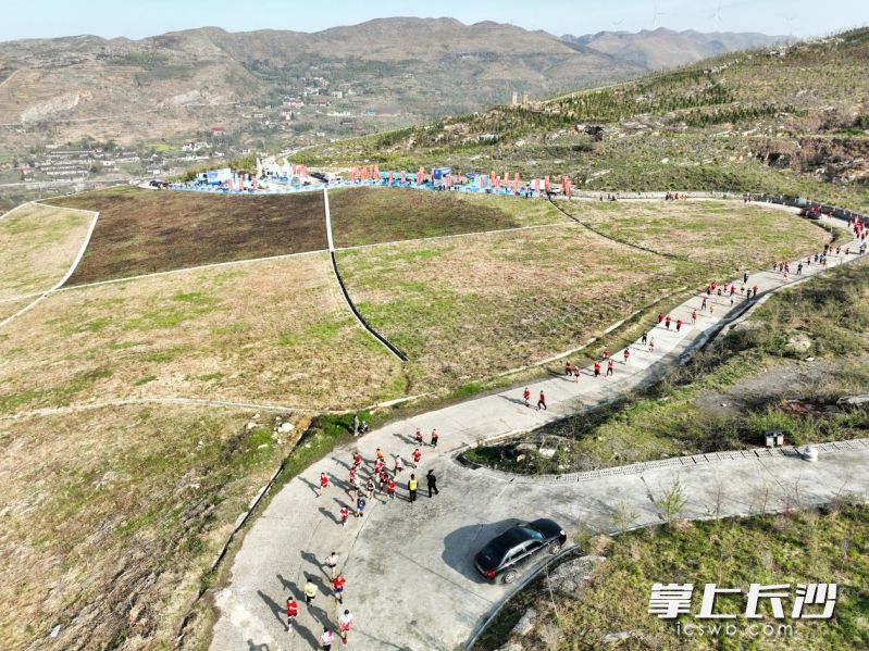 比赛现场俯拍。  均为主办方供图