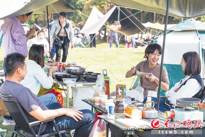 游客们在走吧去野·跳马自然营地开心露营。