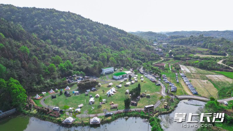 去年10月，黄柱在冬斯港村流转30亩地打造了冬斯港走吧去野·跳马自然营地，半年来接待游客2万人次，一举成为近郊露营网红打卡点。图片均为长沙晚报全媒体记者易亿、邓迪摄