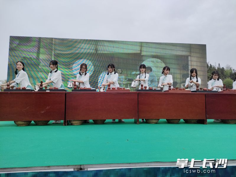 茶艺表演