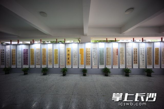 现场展示了师生的书法作品。