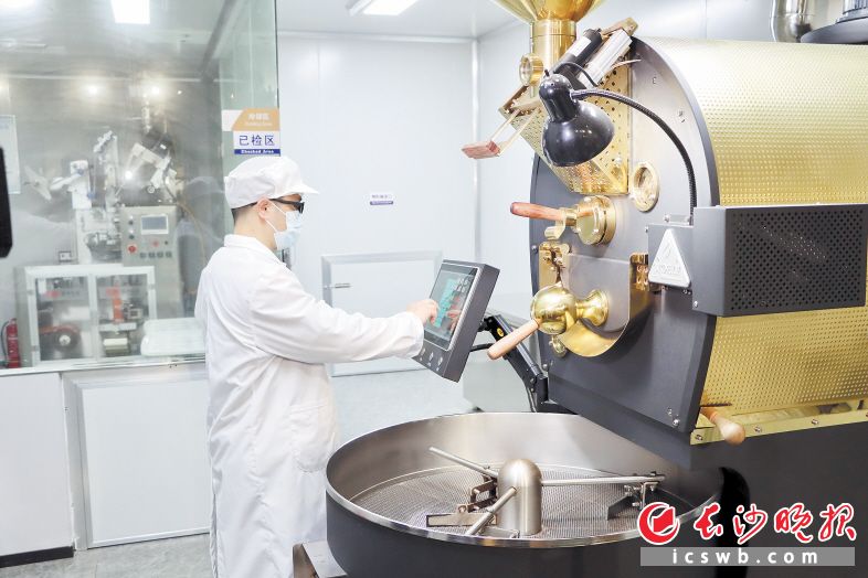 长沙比咖烘焙加工作坊工作人员在焙炒咖啡豆。长沙晚报全媒体记者 周辉霞 摄