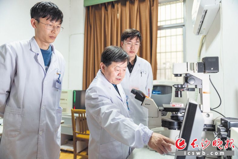 王维教授（前）在实验室指导学生如何分析相关数据。　　照片均为长沙晚报全媒体记者 郭雨滴 摄