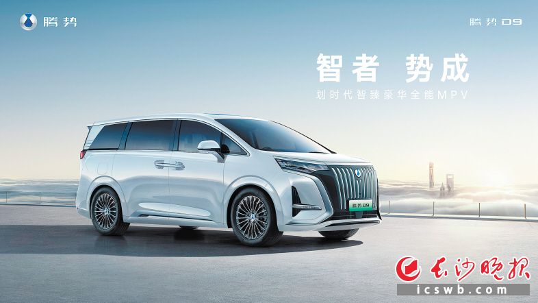 腾势D9 EV 腾势D9 EV