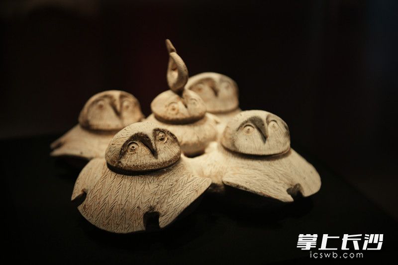 俗称为“猫头鹰油盐坛子”的陶鸮形五联罐。