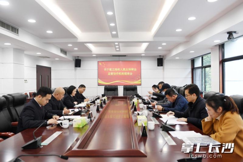 磋商会现场。  长沙晚报通讯员 周玮师 供图