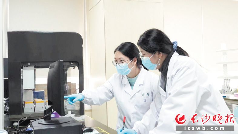 彭佩（左）和同事在实验室查看材料检测数据。受访者供图