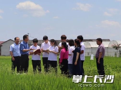 在湖南嘉穗农业示范基地的田埂上，大家上了一节既接地气又有温度的“田间党课”。