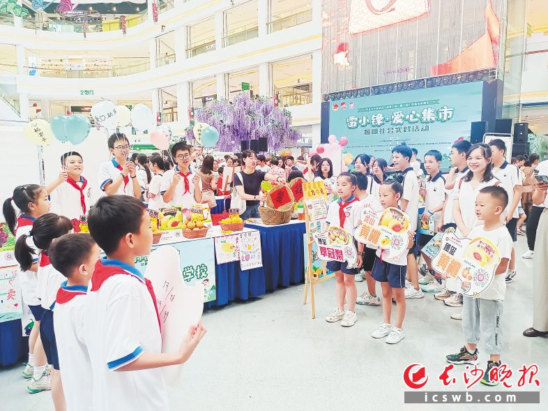 望城区“雷小锋·爱心集市”暑期社会实践活动现场，来自26所学校的500多名中小学生化身“小小推销员”，向市民推销特色农副产品。长沙晚报全媒体记者 陈良 实习生 朱止煜 摄影报道