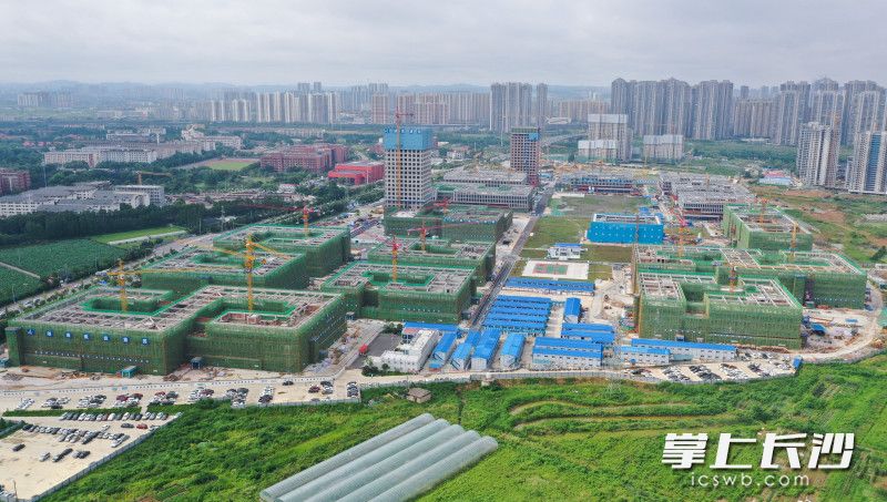位于芙蓉区的岳麓山实验室集聚区农科院片区项目已实现主体封顶，该项目致力打造绿色智能建造示范项目。长沙晚报全媒体记者 王志伟 摄