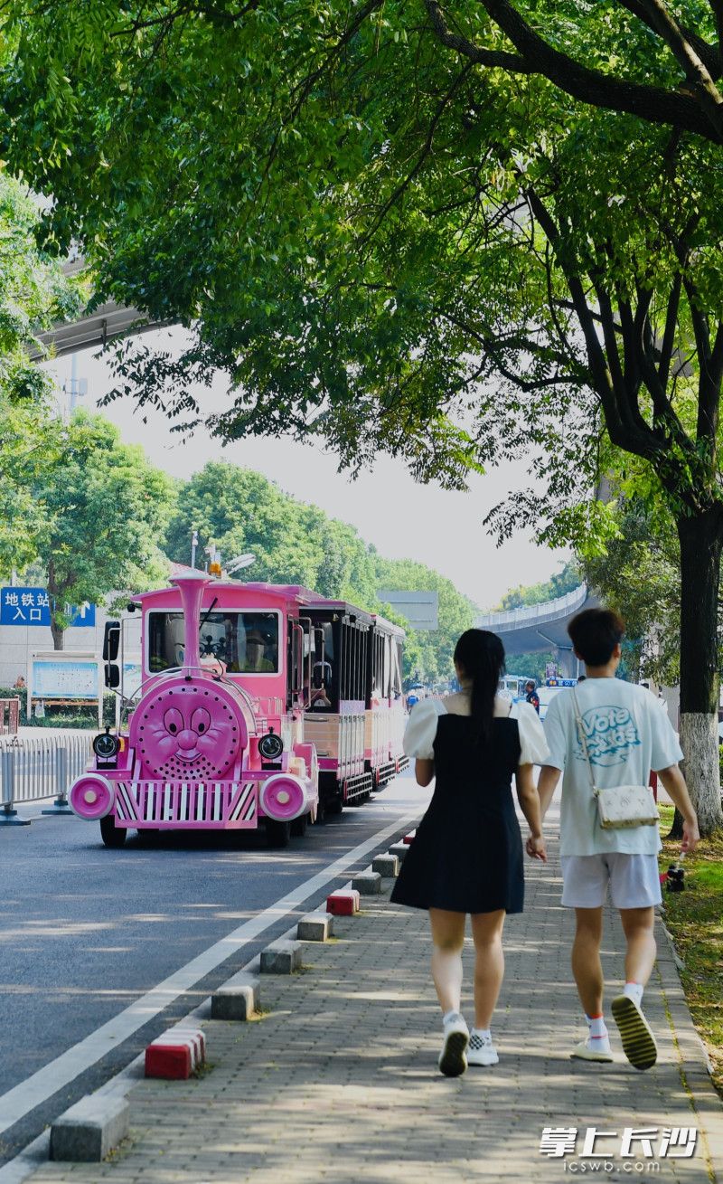 8月18日，橘子洲景区上新两台粉红色小火车，受到游客青睐。均为长沙晚报全媒体记者 邹麟 摄