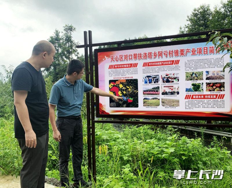 帮扶干部了解产业发展情况。