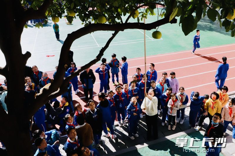 一张听得到笑声的照片：果子熟了，我们一起打下来。