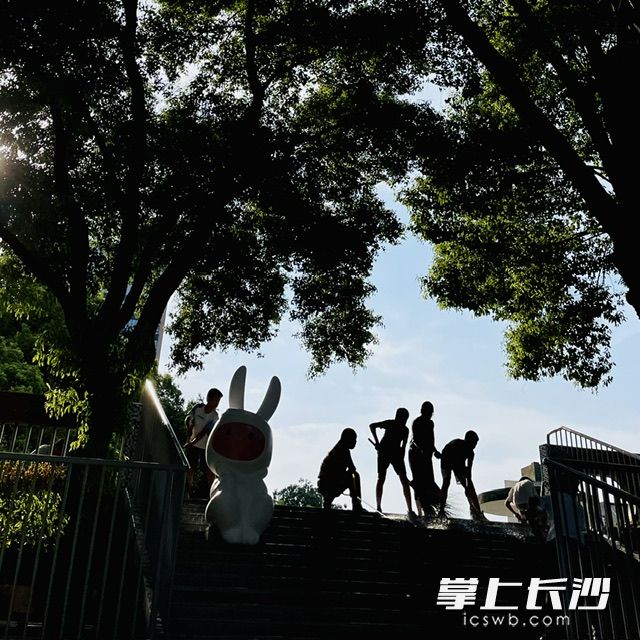 美好的校园，是孩子们成长的乐土。