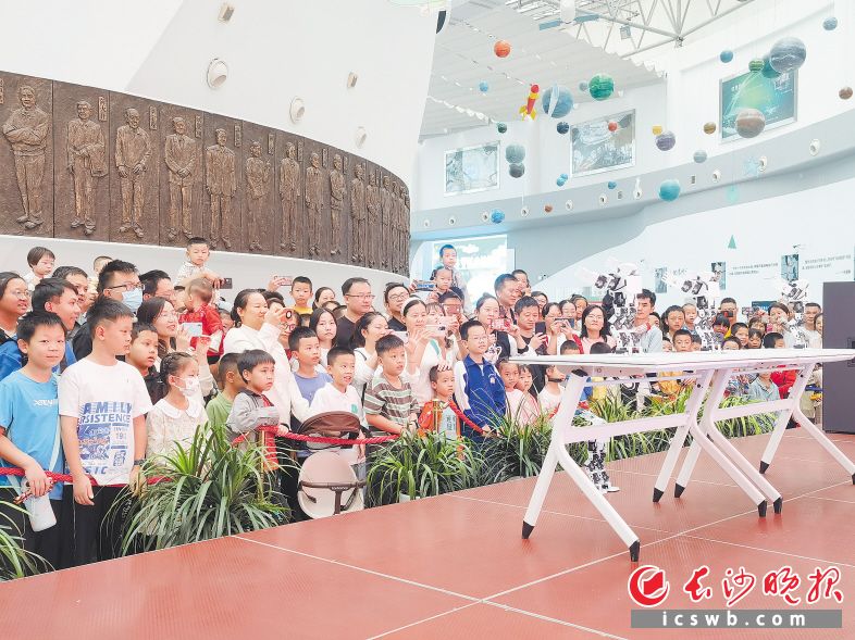 科普秀表演吸引家长和孩子驻足围观。 科普秀表演吸引家长和孩子驻足围观。