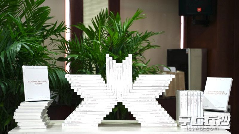 《国外“一带一路”研究译丛》样书。