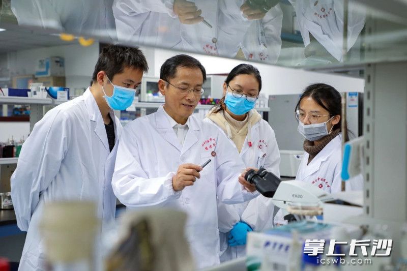 湖南中医药大学中药学学科历经48年建设与发展,已成为湖南省乃至全国中药学人才培养的重要基地。 湖南中医药大学中药学学科历经48年建设与发展,已成为湖南省乃至全国中药学人才培养的重要基地。