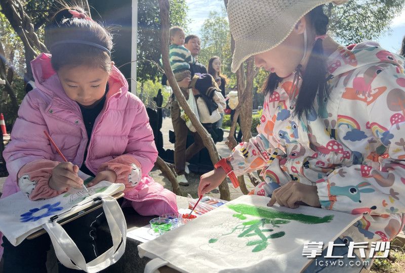 长沙生态动物园举办“猩猩关爱周”的主题活动。均为长沙晚报全媒体记者 贺文兵 摄