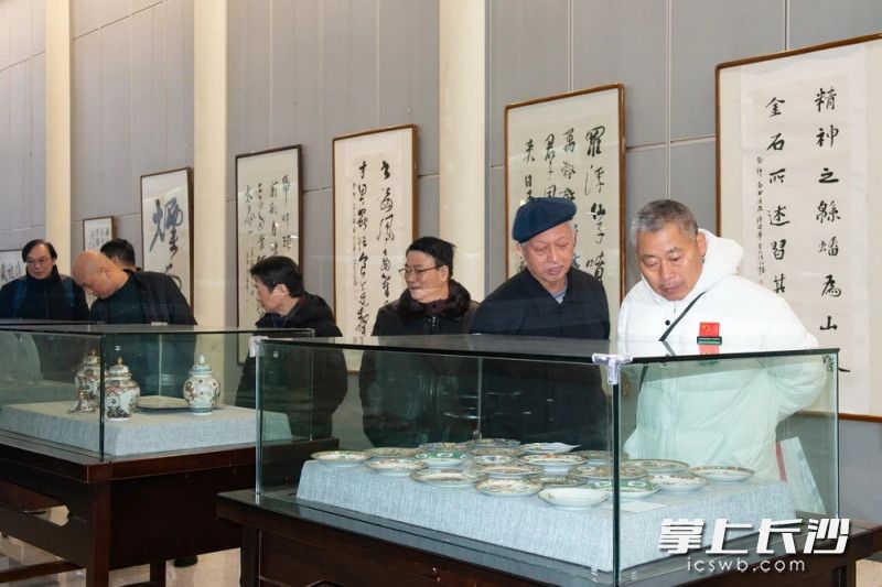 市民参观展览。陈琛 摄
