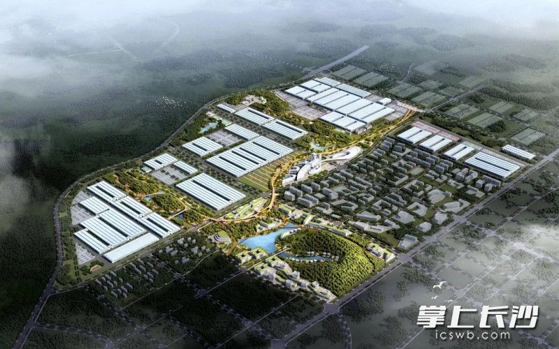 中联智慧产业城效果图