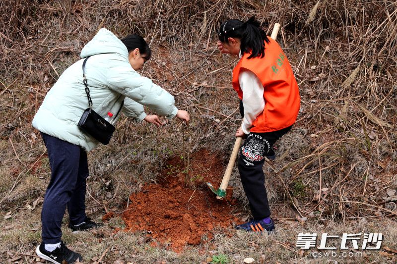长沙生态动物园开展“我为金丝猴种口粮”活动。均为长沙晚报通讯员 谭思敏 摄