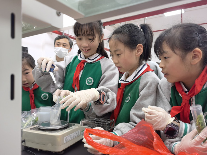 对蔬菜进行检验