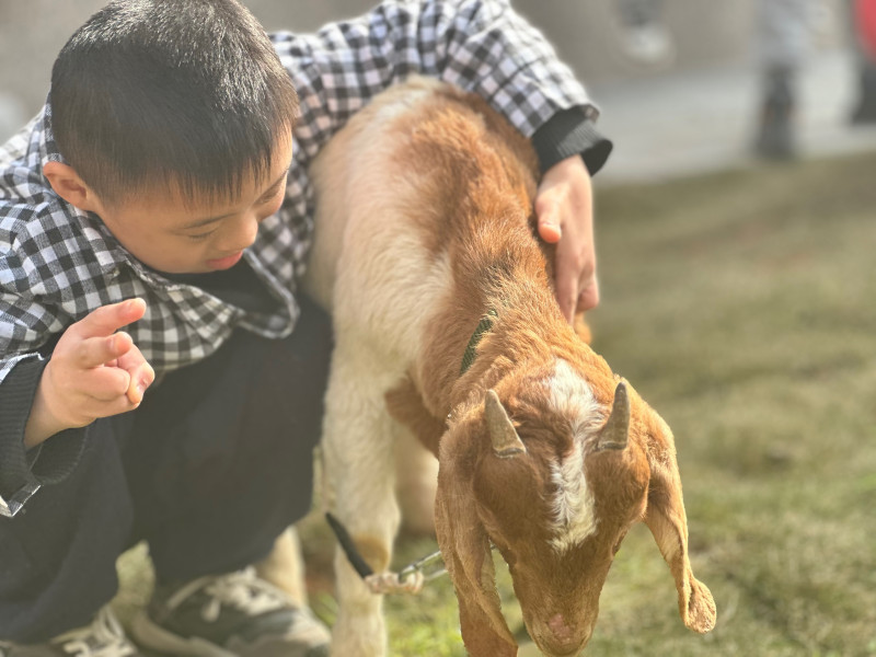 跟心爱的小羊来个开心的合影。长沙晚报通讯员 夏显靓 摄