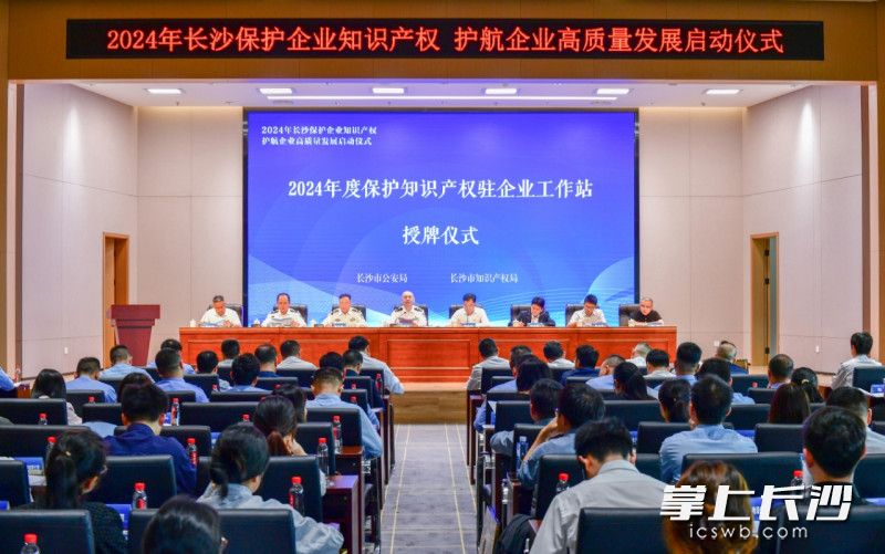 授牌仪式现场。均为长沙晚报通讯员 管崇淅 供图