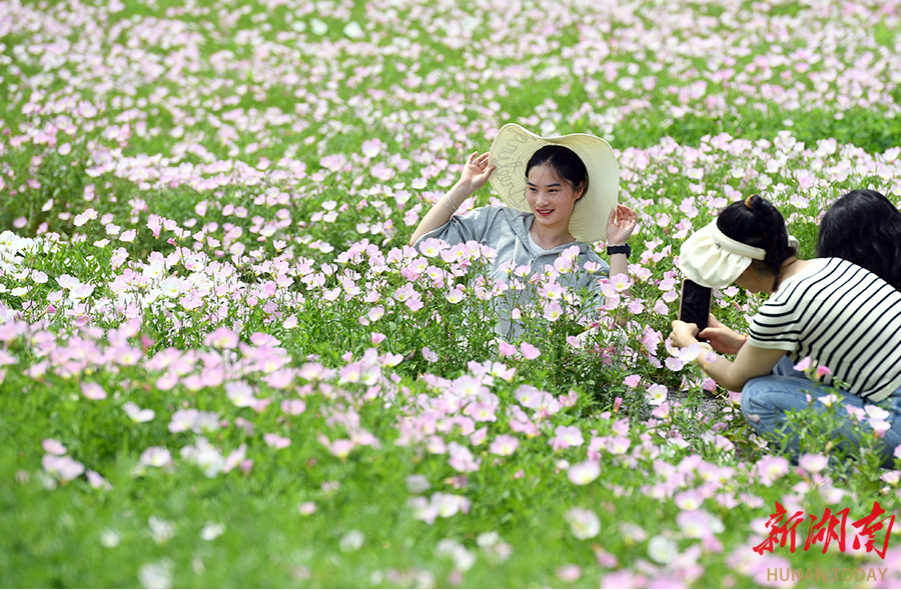(Photo/Tian Chao, Hunan Daily)