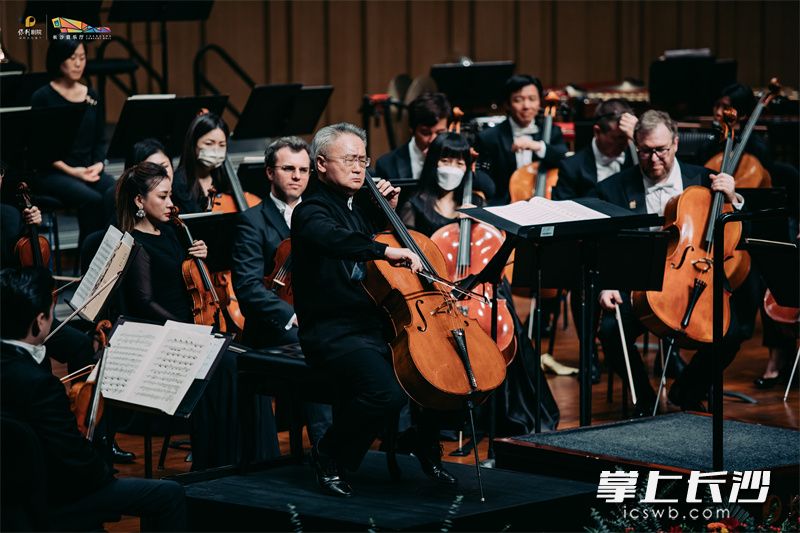 王健带来精彩的大提琴演奏。