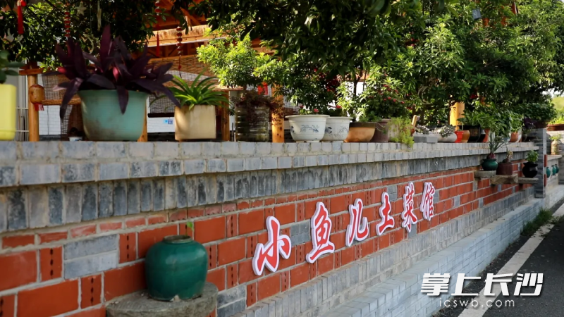 走进茶亭镇乡村，所到之处如同一幅幅美丽画卷跃入眼帘，让人赏心悦目。均为长沙晚报全媒体记者 贺文兵 摄