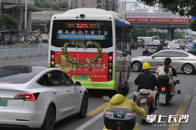 5月20日，长沙520路公交车的车厢内壁、扶手栏杆上，装点着一束束栀子花，让乘客感受到不一样的浪漫。 均为长沙晚报全媒体记者 王志伟 摄