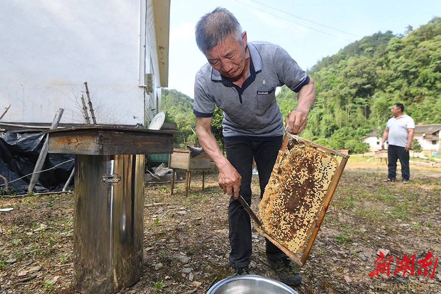 Photo/Tian Chao and Wang Wen, Hunan Daily