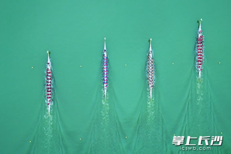 500米直道赛决赛现场。