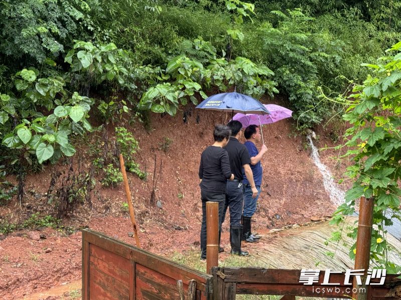 6月25日10时，天心分局联合街道巡察南托街道牛角塘村皇凤坡组人员转移情况。