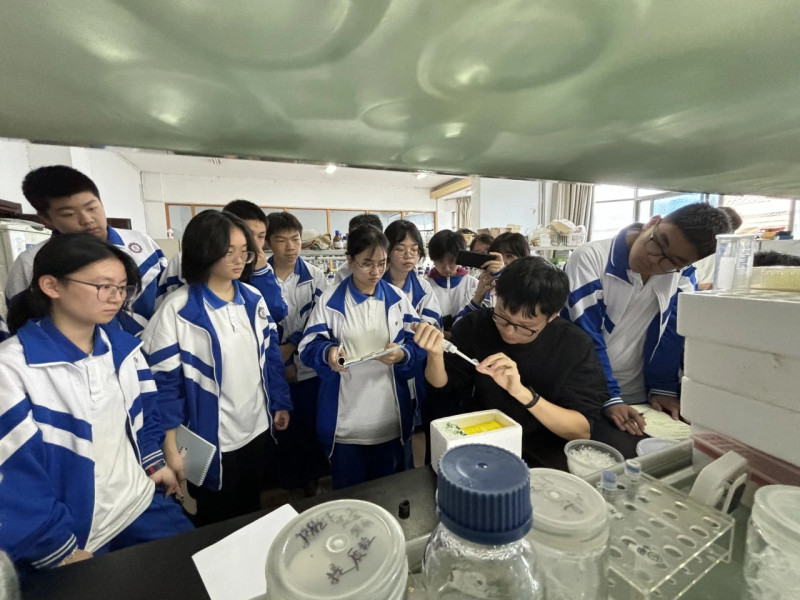 在大学老师指导下做实验。