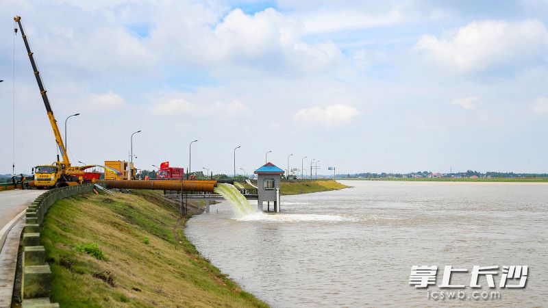 临时架设的水泵正马力全开，将团头湖库容排向乔江。  长沙晚报全媒体记者 郭雨滴 摄